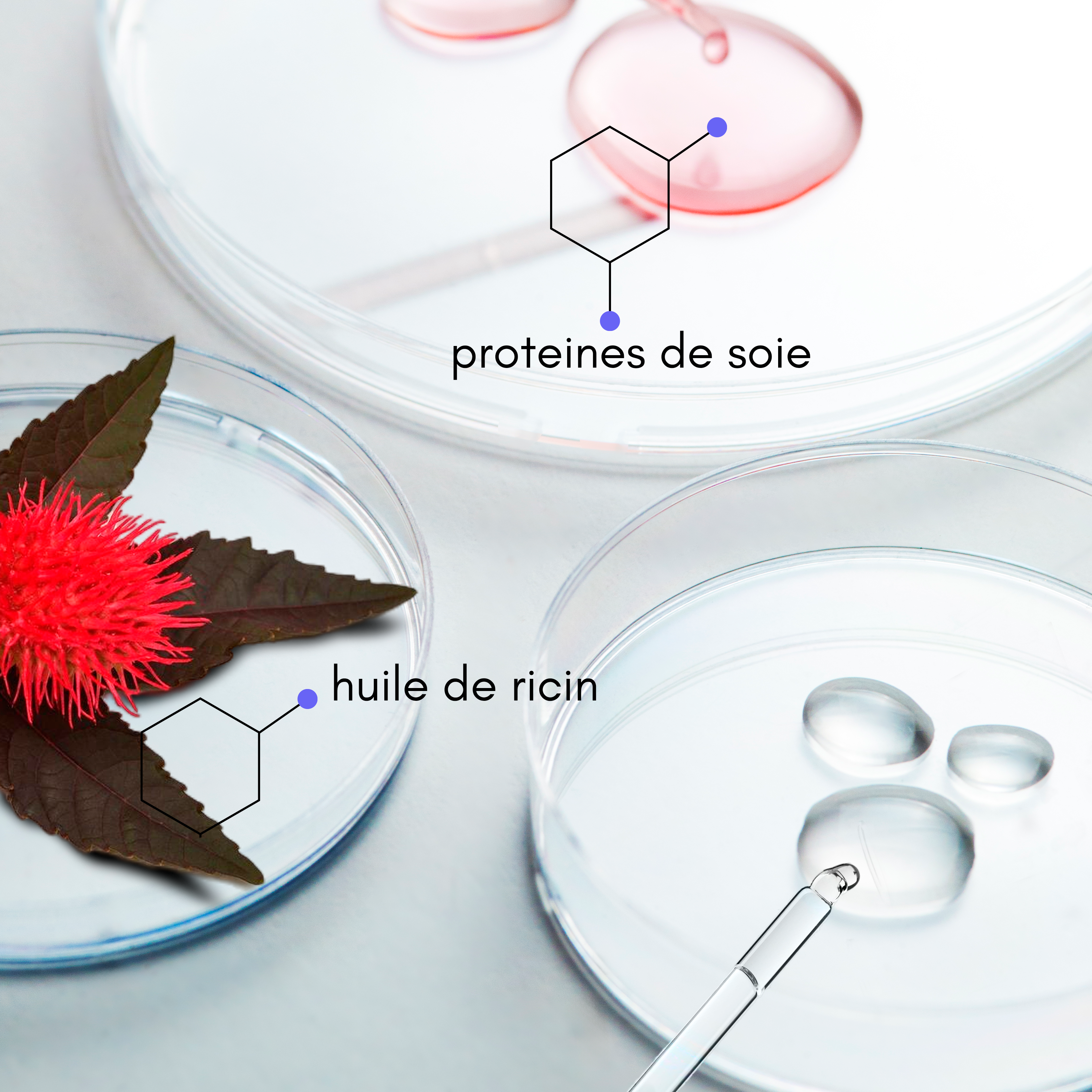 Trio Soin Réparateur – Ricin & Protéines de Soie : Shampoing, Masque & Sérum