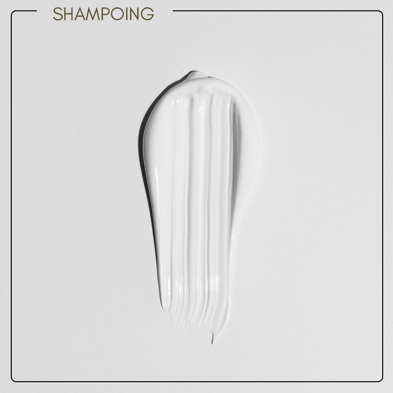 Shampoing Réparateur Hydratant à l’Huile de Ricin
